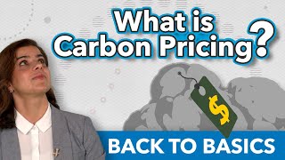 What is Carbon Pricing  Back to Basics [upl. by Chapin598]