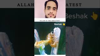 Allah Har Cheez Par Qadir Hai 👆  allahu qadiri shortfeed islamicshorts youtubeshort [upl. by Anehc261]