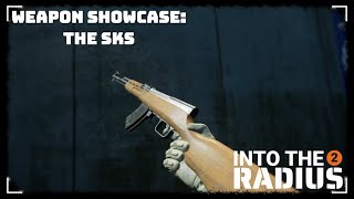 Into the Radius 2  Weapon Showcase  The SKS [upl. by Apoor22]