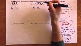 Multiplication dexpressions algébriques par une constante [upl. by Keith648]