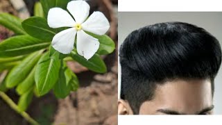 सफेद बाल काले करने के घरेलू उपाय  safed balo ko kala karne ke nuskhe  black hair naturally  hair [upl. by Mcconnell]