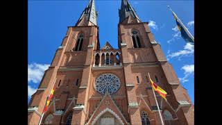 Uppsala U Uppsala domkyrka plenum [upl. by Heater]