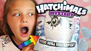 THE BEST Hatchimals Mystery EGG Surprise EVER [upl. by Lytsirk]