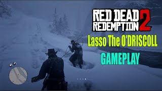 Red Dead Redemption 2  Lasso The ODRISCOLL from The Horse Mission RDR 2 [upl. by Cupo]