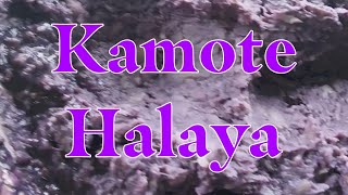 Simpleng luto Ng Ube Halaya [upl. by Anerrol]