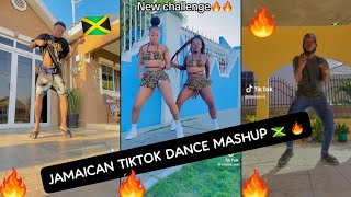 JAMAICAN NEW TIKTOK DANCE MASHUP 🔥🇯🇲‼️ 2024 [upl. by Tedmann]