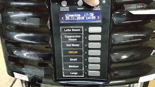 Schaerer Coffee Art Plus SCA1 Espresso Machine  Usage video [upl. by Miculek525]