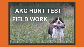 AKC Hunt Test SENIOR  MASTER FIELD WORK [upl. by Giacamo766]