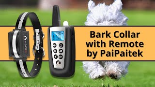 Review PaiPaitek Vibrating Dog Collar No Shock 3300ft Waterproof Vibration Collar for 2 Dogs No Sh [upl. by Daniala]