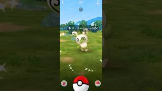 【Pokémon GO】 Shiny Spinda GET✨ [upl. by Laws134]