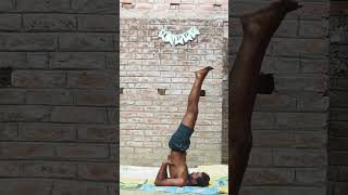 Sarvangasana sansaribhakti shortvideos [upl. by Oinotnaesoj637]