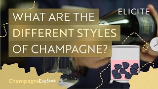 The Different Grape Varieties amp Styles Of Champagne [upl. by Cirdahc]