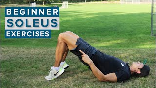 4 Beginner Soleus Muscle Strengthening Exercises [upl. by Gnouhp]