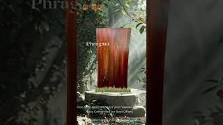 Signity Collections  The Gateway to Exotic Natural Wood Veneers  Homein [upl. by Durwood]