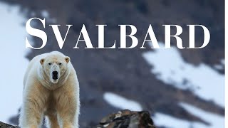 SVALBARD  NORWAY 🇸🇯 Cinematic Journey Through the quotArctic Jewel of Norwayquot 4K [upl. by Ayojal100]