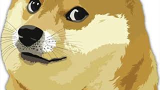 DogeCoin Song Official Doge Coin Song [upl. by Julietta235]