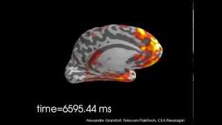 Source localization of continuous Magnetoencephalography MEG data [upl. by Aiker]