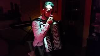 Ojciec Chrzestny  The Godfather  Akordeon accordion cover [upl. by Nema]