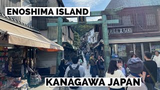 Enoshima Island  Great Day Trip From Tokyo  Kamakura Japan [upl. by Aenet]