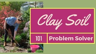 Clay Soil Improvement  How to use liquid eco flo gypsum  The Gardenettes [upl. by Atkinson270]