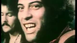 Mungo Jerry  In The Summertime Official [upl. by Novihc]