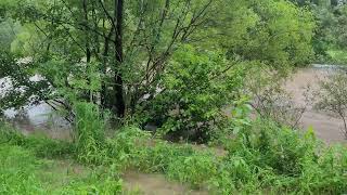 Hochwasser Neckar ReutlingenMittelstadt Pliezhausen am 02062024 [upl. by Nepil307]