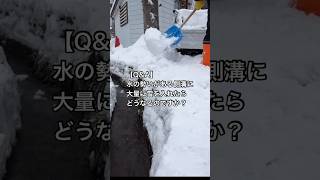 【QampA】水がよく流れている側溝に大量の雪を入れたらどうなるのか？ 飯山市 長野県 雪 ドボン [upl. by Nas]