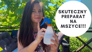 Skuteczny preparat na mszyce Soda oczyszczona na mszyce [upl. by Ynohtnacram934]