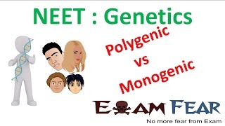 NEET Biology Genetics  Polygenic vs Monogenic Polygenic and Environment [upl. by Antony]