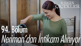 Nerimandan intikam alınıyor  Kırgın Çiçekler 94 Bölüm [upl. by True714]