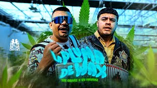 Los Farmerz x Tite Chavez  La Pluma De Wax En Vivo [upl. by Verbenia]