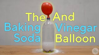 Baking Soda  Vinegar Balloon Experiment [upl. by Lisabet971]