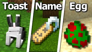 20 Secrets You Didnt Know About Nametags in Minecraft [upl. by Misab895]