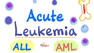 Acute Leukemia  ALL and AML  Hematology and Oncology Series [upl. by Lledroc303]