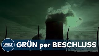 UMWELTSCHÜTZER EMPÖRT EU will Investitionen in Atom und Gaskraftwerke als grün einstufen [upl. by Wesle257]