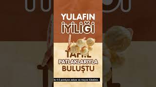 Hayatına Puffed Diye Giren Lezzet  Eti Lifalif Puffed Granola [upl. by Ailaht]