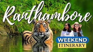 Ranthambore  3 Days Itinerary  Jungle Safari  Ranthambore Fort  Crocodile Safari [upl. by Edlyn]