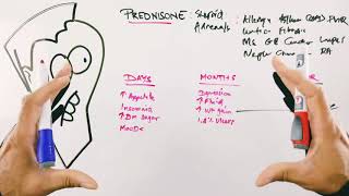 Most Common Prednisone Side Effects  Short Term and Long Term and Solutions  Corticosteroids [upl. by Esenej707]