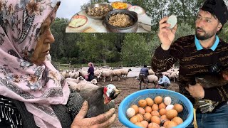 UÇAN TAVUK ÖLDÜ  YILIN İLK MANTARINI YEDİK  BİR SEPET YUMURTA BULDUK  KOYUN SAĞIMLARI BAŞLADI [upl. by Anrim]