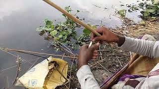 এক ঘন্টায় এতগুলো পুটি মাছ বরশি দিয়ে শিকার করা হয়েছেAmazing Hook Fishing Video on Village River [upl. by Rabma]