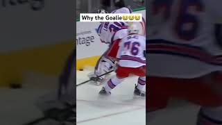 Biggest Hits In The NHL pt4 hockeyhighlights hockeyhits nhl [upl. by Hairahcez]