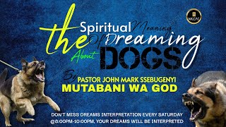 The spiritual meaning of a dog in a dream by PASTOR JOHN MARK SSEBUGENYI [upl. by Mcgannon320]