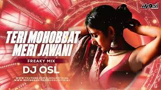 Teri Mohabbat Meri Jawani  Instagram Viral Reels  Freaky Mix  DJ OSL [upl. by Barsky]