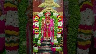 Alagendra Sollukku Muruga tamil god song muruganuku arogara 🙏🙏 [upl. by Arundel350]