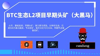 火币、Jump等领投的比特币模块化网 络0xVM节点挖币，早期挖矿项目，自动托管获得500万融资产出XVM，预计代币上线时间第四季度 [upl. by Nah524]