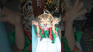 Macan kodok funny comedy [upl. by Annunciata902]