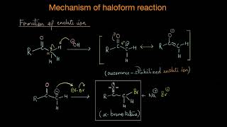 Mechanism of haloform reaction Aldehydes ketones and carboxylic acids  Chemistry  Khan Academy [upl. by Anitsirhk233]