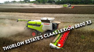 4Kᵁᴴᴰ Harvest 2024 Thurlow Estates THREE Claas Lexion 8800 combines harvesting beans in Suffolk [upl. by Swithbart527]