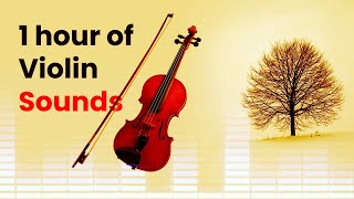 One Hour of Violin Sounds [upl. by Myron]