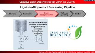 Early Career Researcher symposium on Lignins with Shannon S Stahl [upl. by Ymmas892]